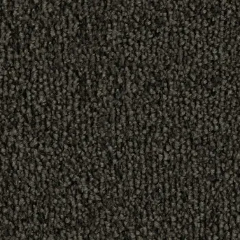 Vorwerk Safira Teppichboden Farbcode 9G21 – Draufsicht ohne Etikett